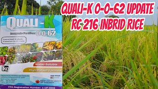 Quali-K 0-0-62 Ito Na Ang Update