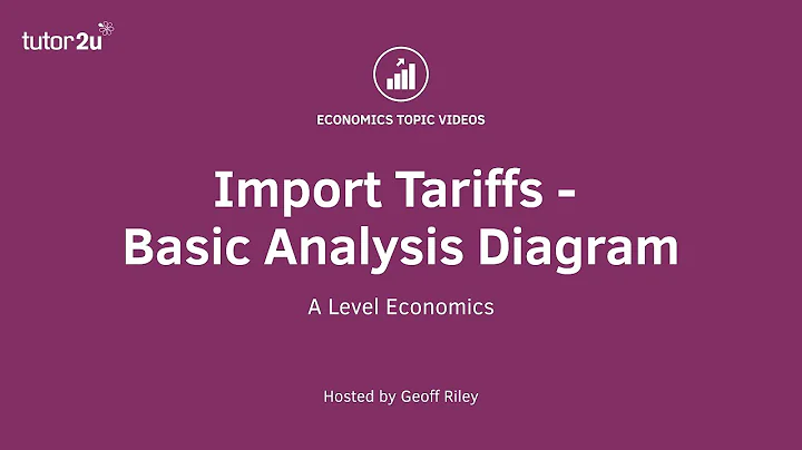 Import Tariffs - Basic Analysis I A Level and IB Economics - DayDayNews