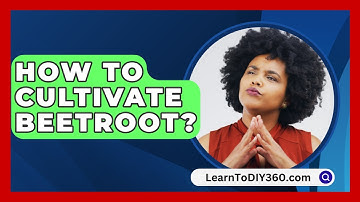 How To Cultivate Beetroot? - LearnToDIY360.com