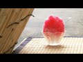 【スピッツ/田舎の生活】歌ってみた