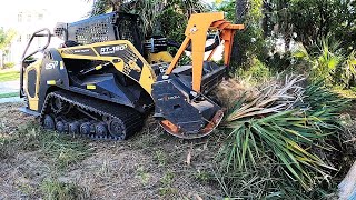 PULPING MASSIVE PALM TREES! THE HOMELESS LEFT A FEW SURPRISES FOR ME!