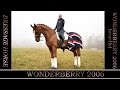 Презентация лошади Wonderberry 2006 (папа Worldly) v2
