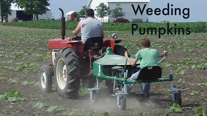 Kevin and his Incredible Pumpkin Weeder