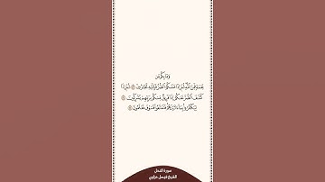 تلاوة في دقيقة سورة النحل الآيات من ٥٣ إلى ٥٥ الشيخ فيصل غزاوي