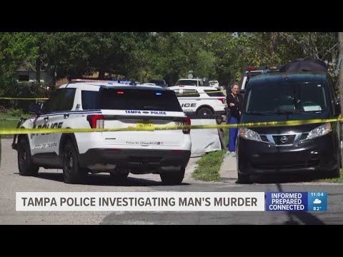 Homicide investigation underway after man found dead in Tampa - YouTube