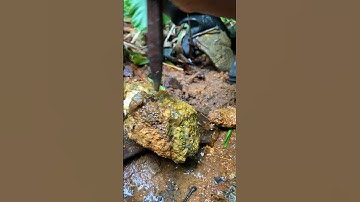 We Cracked a Crystal Vein in Rock ! What’s Inside?