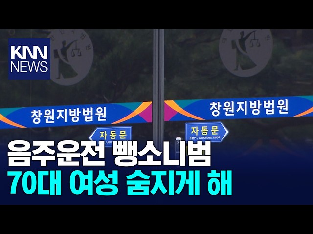 음주 뺑소니로 보행자 사망 '징역 4년' / KNN