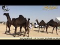 مهرجان قطر الاول للمجاهيم اليوم الثاني الجزء الثالث ٢٠١٨ قناة اصايل قطر