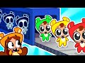No No Copycat! 😜😜 Who Is The Real Baby? 😨 Kids Cartoons by Piccoletta Live