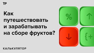 Собирать виноград, чай и клубнику. Кто такие «фрутобайтеры», куда они ездят и сколько зарабатывают?