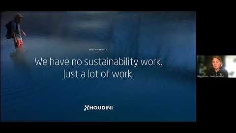 PFAS substitution in textile supply chains: Houdini