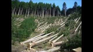 Human Affect On The Environment Wake Up call