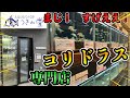 憧れのコリドラスショップ『つきみ堂』さん訪問　多種多様の高級コリドラス大撮影　小型カラシンやプレコも撮影『小型熱帯魚』
