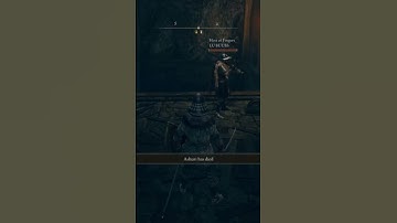 EVERY Elden Ring player has done this at least once. #shorts