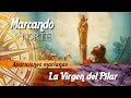 Marcando el Norte: La Virgen del Pilar 1/9