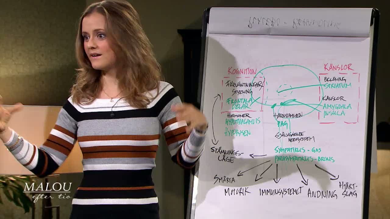Så kan ångest lindras med hjälp av placeboeffekten  - Malou Efter tio (TV4)