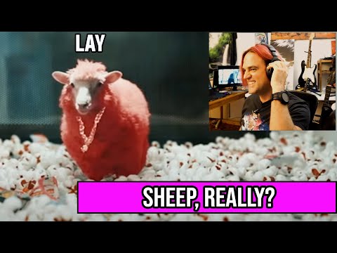 LAY SHEEP MV Reaction 레이 羊 Guitarist Reacts To KPOP Music From EXO Member