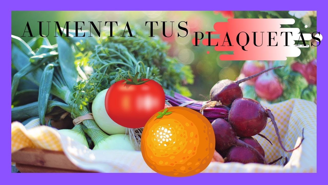 🔴Alimentos que SUBEN las PLAQUETAS🔴 - YouTube