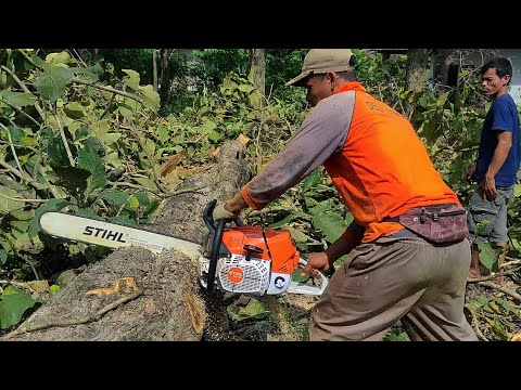 Video: Udhëzues Chennai: Planifikimi i udhëtimit tuaj