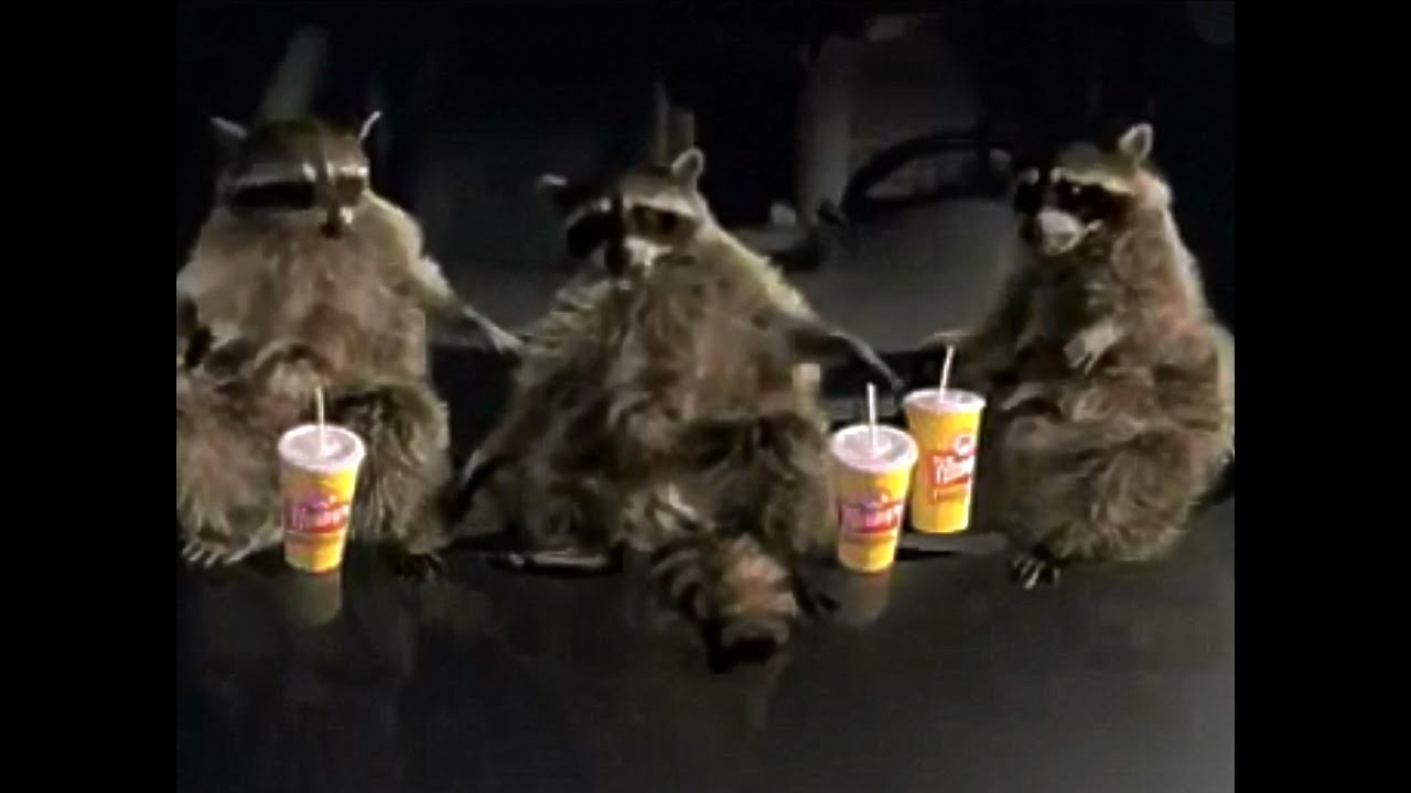 Wendy's Funny Late Night Cravings TV Commercial HD - YouTube