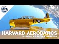 Harvard Aerobatics - Inside an Airshow Evaluation - Flying BC