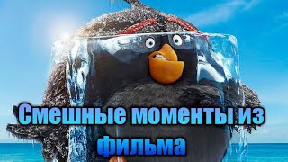 Самые Смешные моменты из фильма angry birds 2