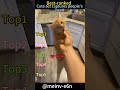 #PetLife #CutePets #AnimalLovers