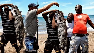 50-pounder monster tarpon get caught on the beach YouTubers link up