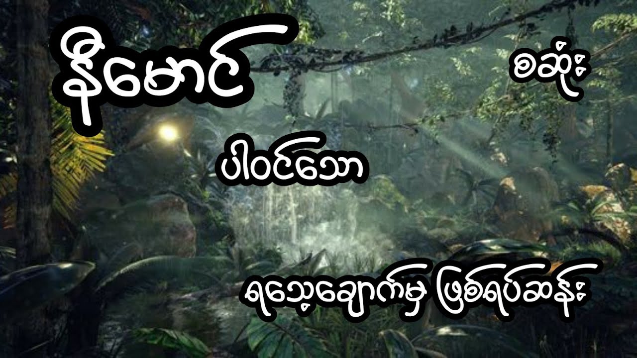 ရသေ့ချောက်မှဖြစ်ရပ်ဆန်း - စဆုံး