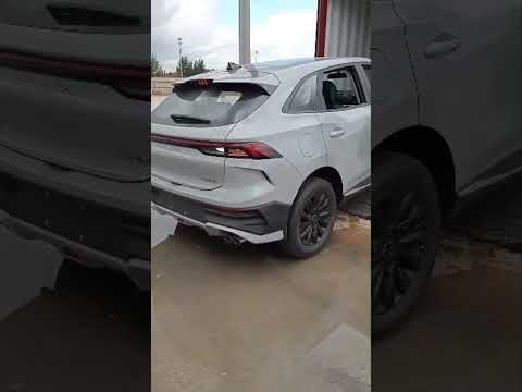 فتح حاويات السيارات المستوردة من الصين المتمثلة في T5EVO FORTHING الجزائر 