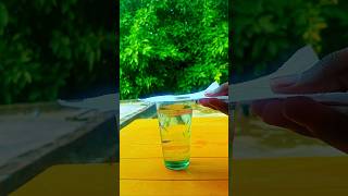 pepper vs coin glass magic 🌟 #experiment #science