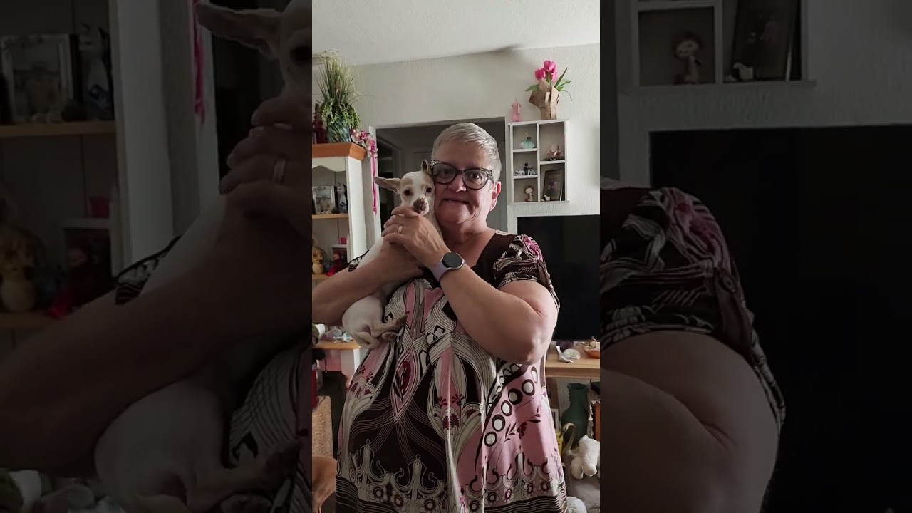 VICKY'S HOUSE CLOSED WITH THE GIGI