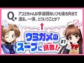 可憐&四葉がウミガメのスープに挑戦!#1【ウミガメのスープ】