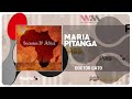 VARIOUS ARTISTS - Maria Pitanga