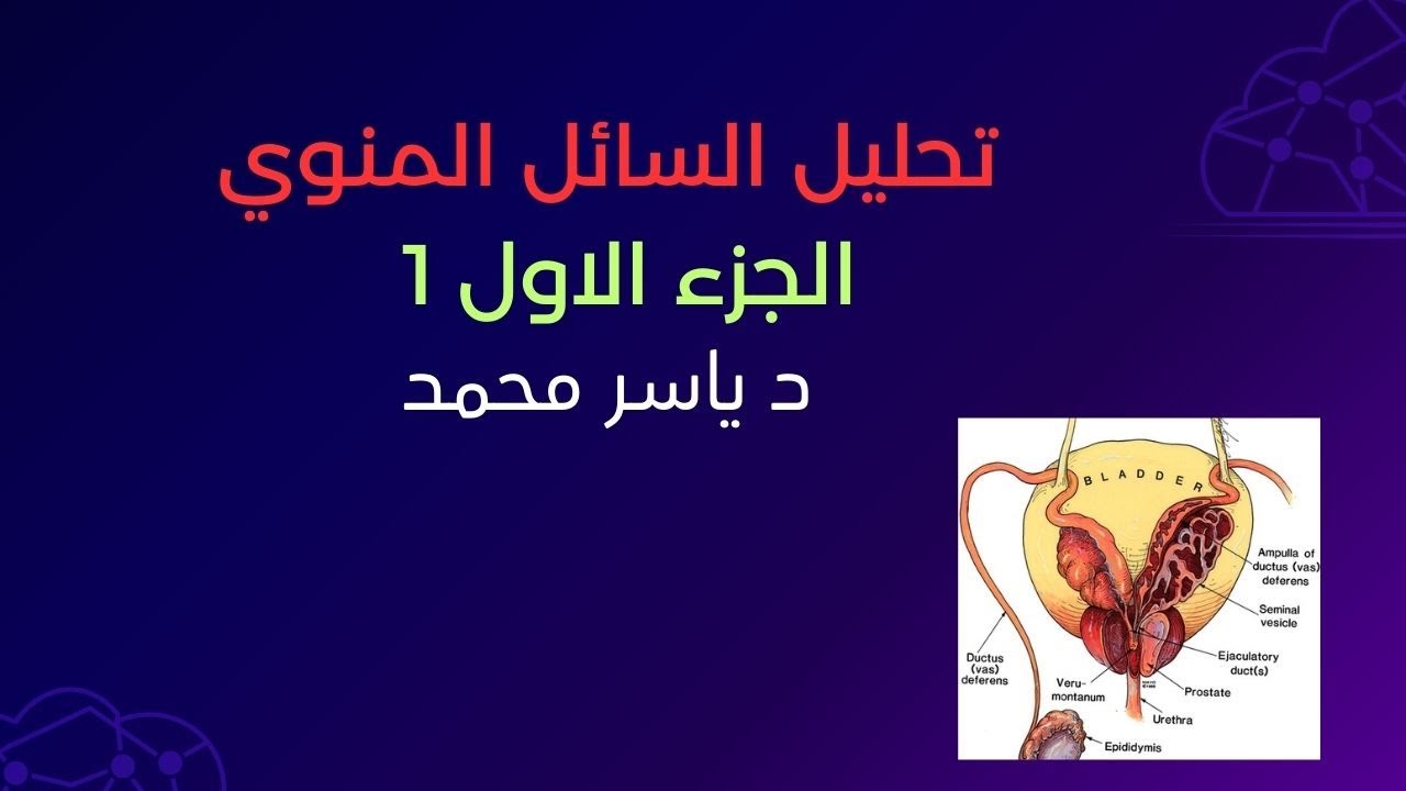 تحليل السائل المنوي 1 I د. ياسر محمد