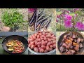 Village Housewife Daily routine//cooking working and gardening