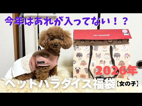 第613話【ペットパラダイス 福袋】2026年！のペットパラダイス福袋は