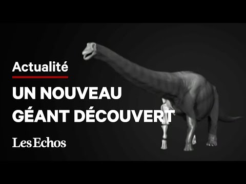 Vidéo: Les Scientifiques Ont Découvert Une Nouvelle Espèce De Dinosaures Ailés Miniatures - Vue Alternative