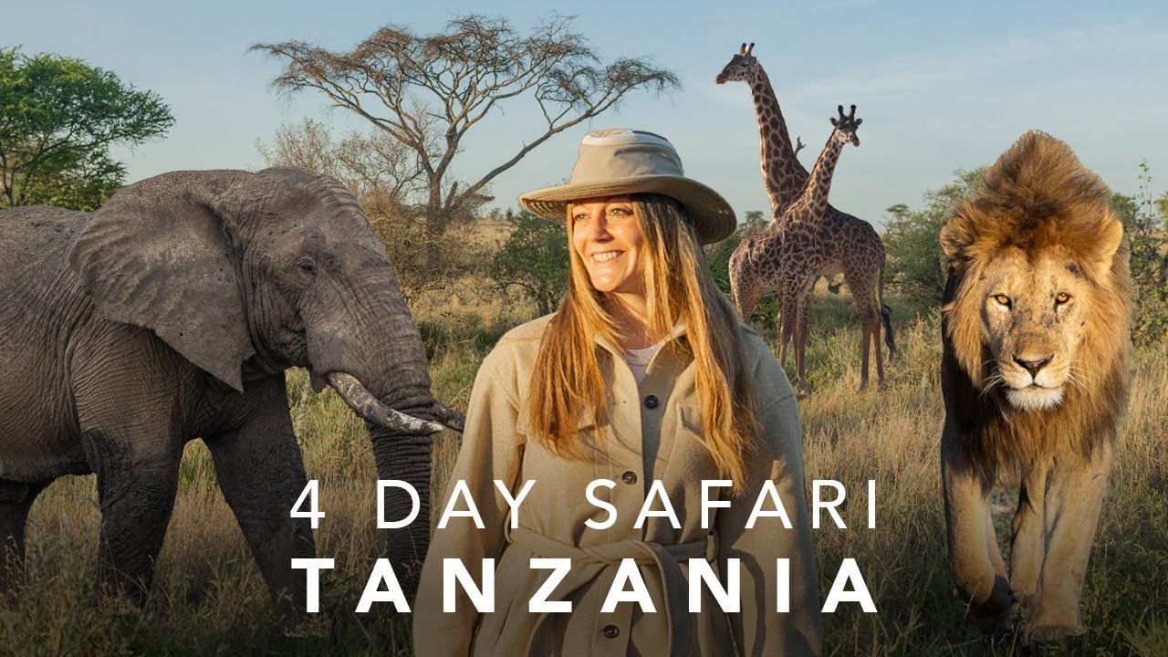 The Best Safari in Tanzania | Serengeti, Ngorongoro Crater & Tarangire