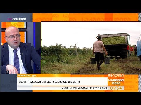 მევენახეების ახალი ვალდებულება