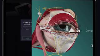 解剖学アプリ Student Plus （学習者向け）- Complete Anatomy│日本スリービー・サイエンティフィック株式会社