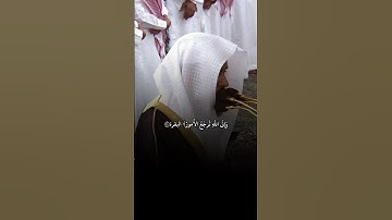 #تلاوة_خاشعة من#سورة_البقرة للشيخ/#عبدالله_القرافي | #القرآن_الكريم #القرآن #القران_الكريم #آيات