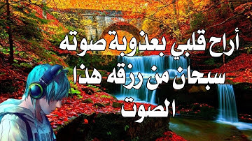 تلاوة رمضانية بصوت القارئ عصام العامري #اليمن