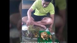 RESEP AYAM PANGGANG BETUTU PEDAS MANTAP - Durasi: 6.08. 