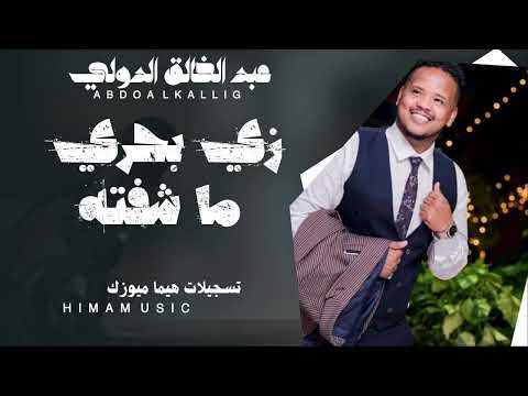 زي بحري ما شفته عبدالخالق الدولي حفلات مصر أغاني سودانية 2024