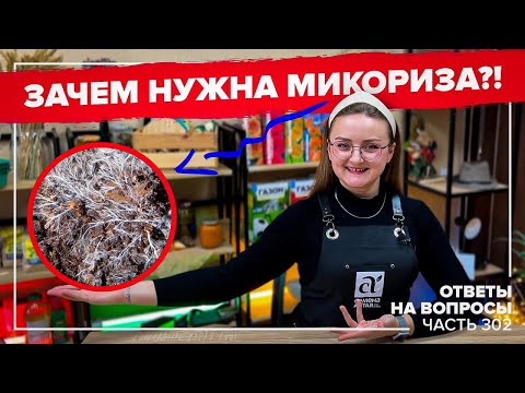 ЧТО ТАКОЕ МИКОРИЗА?! КАК БОРОТЬСЯ СО СЛИЗНЯМИ?! Ответы на САМЫЕ частые вопросы №302