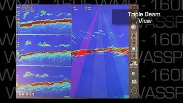 WASSP multibeam sonar WMB-160F - Display Modes