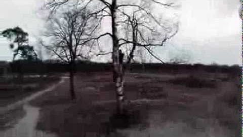 My very first Phantom 2 crash (into a tree)