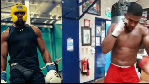 Anthony Joshua training for Kubrat Pulev fight