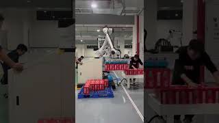 5 cartons one time by the robot palletizer #machine #factory
